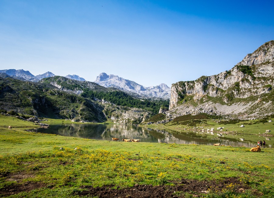 Grup AVA oferta Asturias Costa Verde